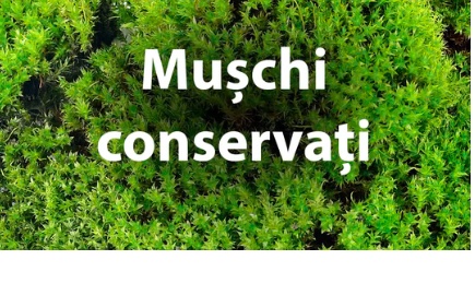 Mușchi conservați